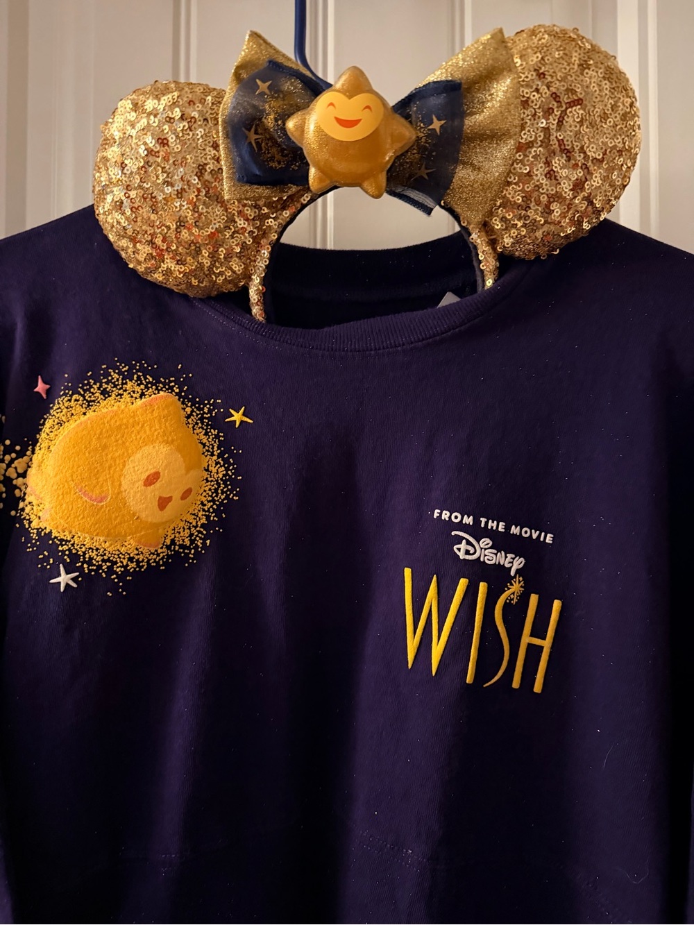 Disney Purple Crewneck Spirit Jersey with Silver Logo matching ears